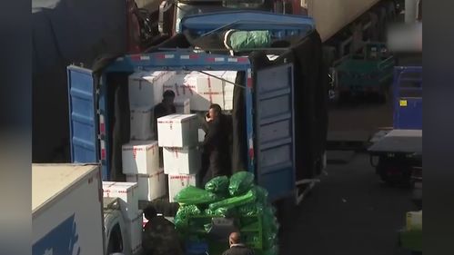 新发地市场春运首日探访 日用杂品批发保障节日供应