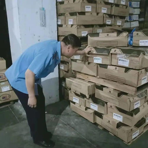 九原区市场监督管理局强化食品流通监管，专项检查日用杂品批发环节