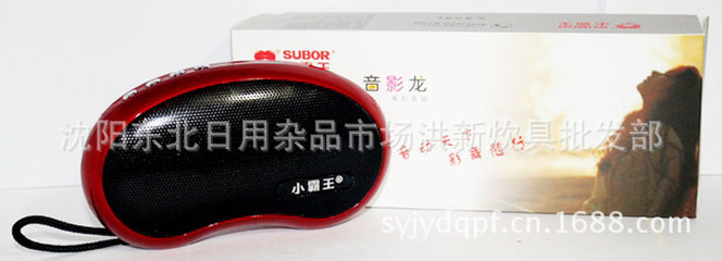 小霸王PL-310 一款集多功能于一身的迷你影音伴侣